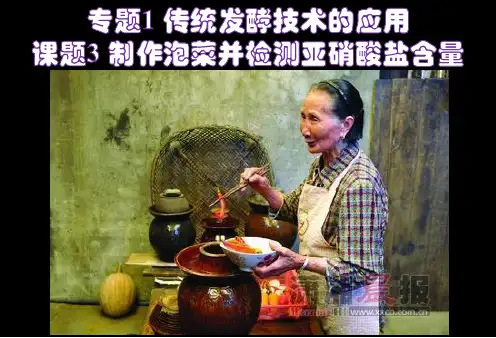 人教版高中生物选修一制作泡菜并检测亚硝酸盐含量优秀ppt课件