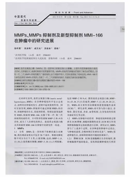 MMPs、MMPs抑制剂及新型抑制剂MMI-166在肿瘤中的研究进展