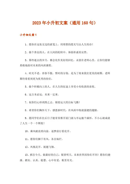 2023年小升初文案(通用160句)