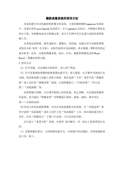 凝胶成像系统的使用方法