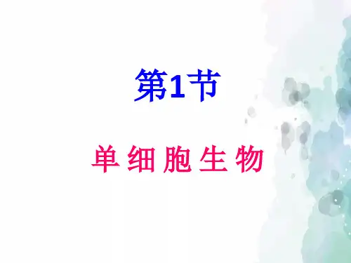 苏教版生物-七年级上册-第二中学第二单元 第四章《第一节 单细胞生物》课件