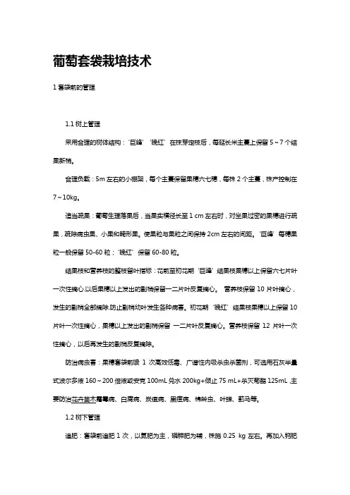 葡萄套袋栽培技术