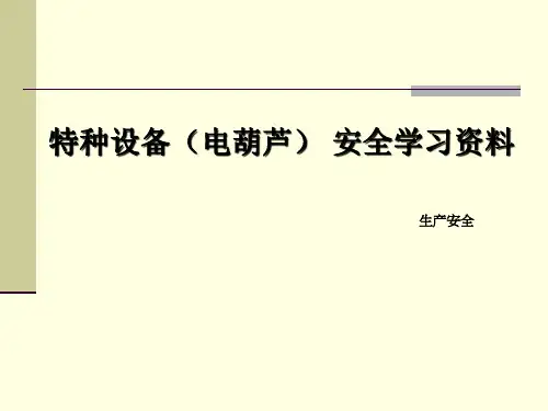 特种设备(电动葫芦)安全使用分析解析