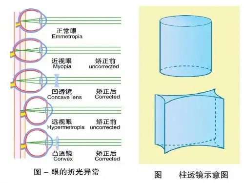 感觉器官1-2