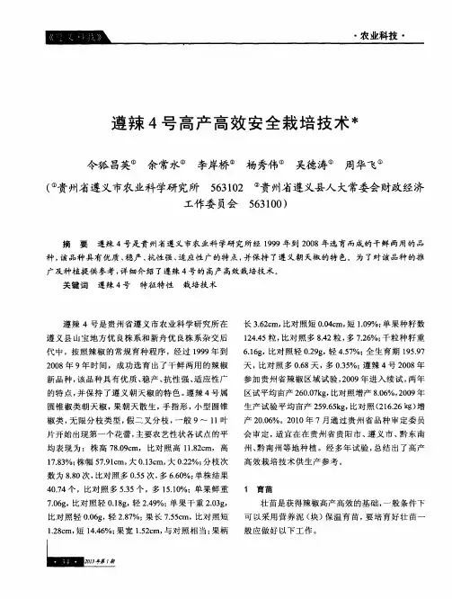 遵辣4号高产高效安全栽培技术
