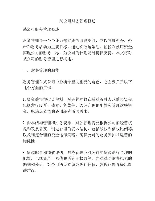 某公司财务管理概述