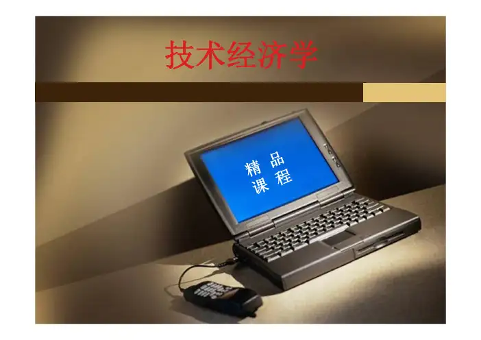 技术经济学第2版教学课件ppt作者刘秋华主编技术经济第8章