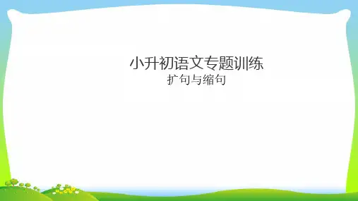 【小升初】语文总复习课件 - 第六章 扩句与缩句专题训练｜全国通用 (共25张PPT) .ppt