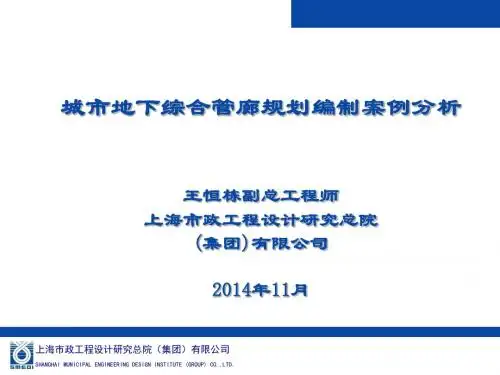 城市地下综合管廊规划编制案例分析(ppt 111页)