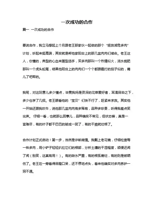 作文《一次成功的合作》