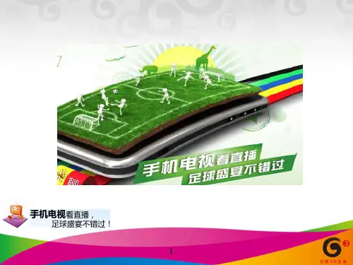 手机电视业务的适配终端