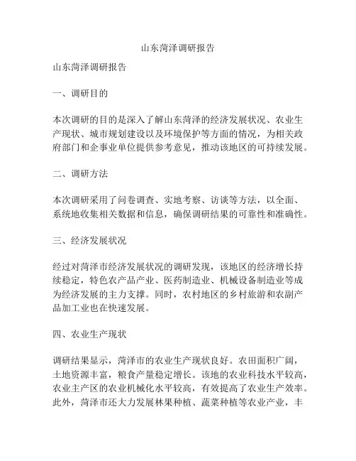 山东菏泽调研报告
