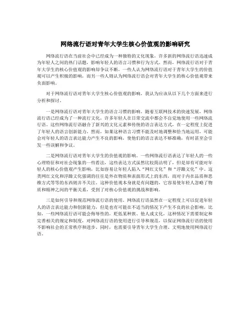 网络流行语对青年大学生核心价值观的影响研究
