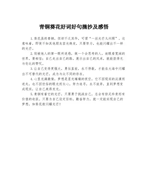 青铜葵花好词好句摘抄及感悟