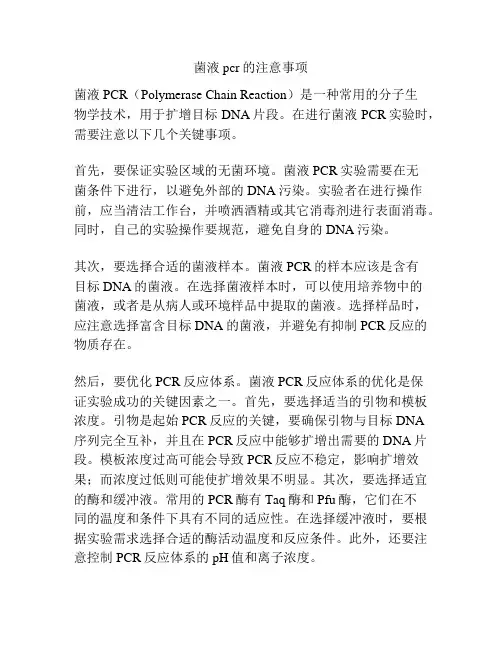 菌液pcr的注意事项