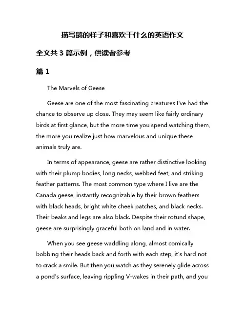 描写鹅的样子和喜欢干什么的英语作文