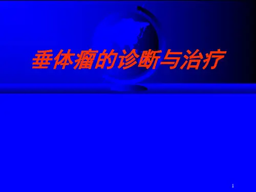 蝶鞍区解剖及临床研究PPT课件