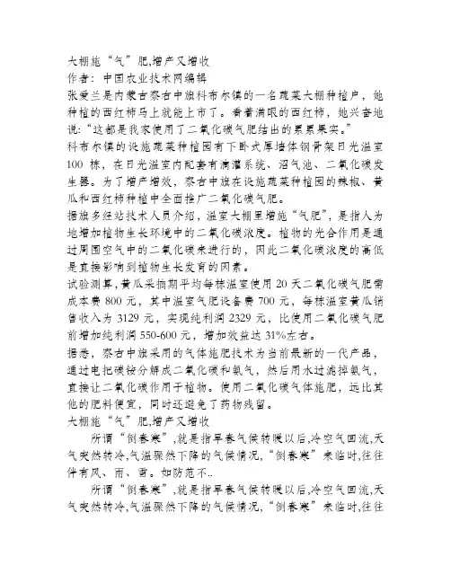 大棚施“气”肥,增产又增收