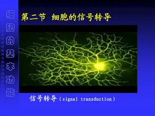第 二 章 细胞的基本功能1-3