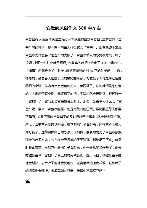 安徽的风俗作文500字左右