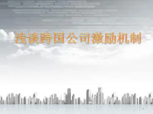跨国公司案例分析ppt课件