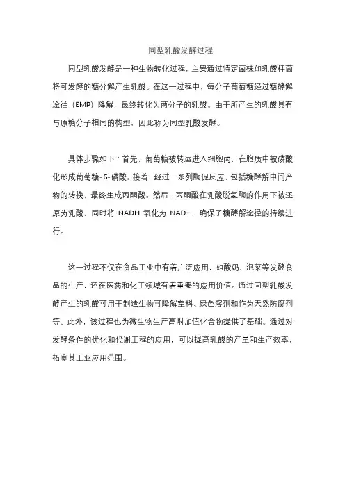同型乳酸发酵过程