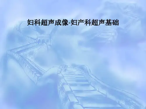 妇科超声成像-妇产科超声基础PPT课件