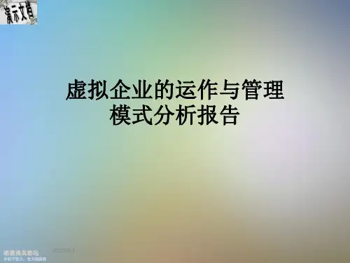 虚拟企业的运作与管理模式分析报告