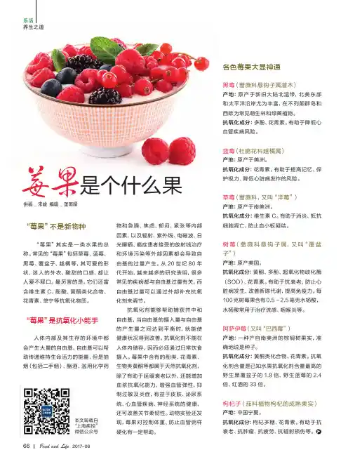莓果是个什么果