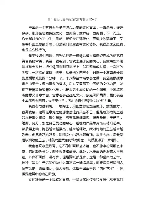 做个有文化情怀的当代青年作文800字_作文范文_