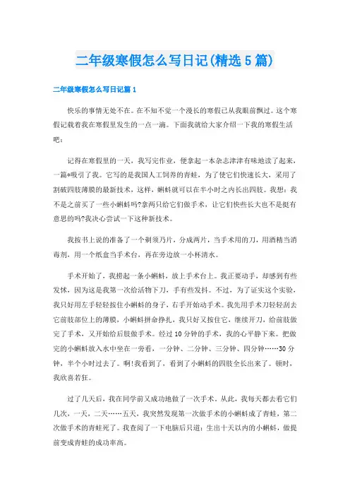 二年级寒假怎么写日记(精选5篇)