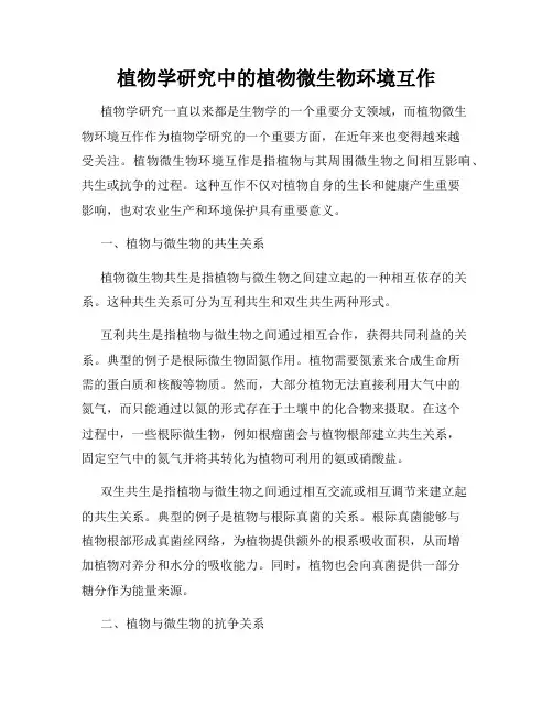 植物学研究中的植物微生物环境互作