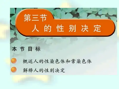 苏教版生物八下22.3《人的性别决定》说课课件(共30张PPT)