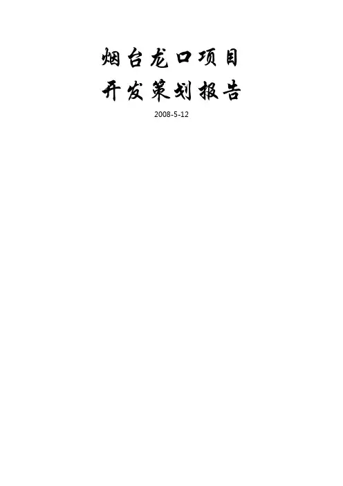 山东烟台龙口项目开发策划报告
