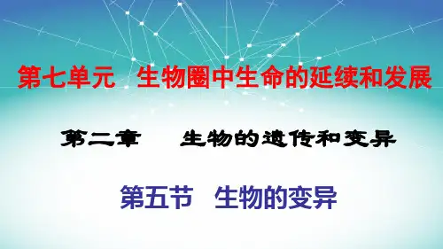 第五节《生物的变异》