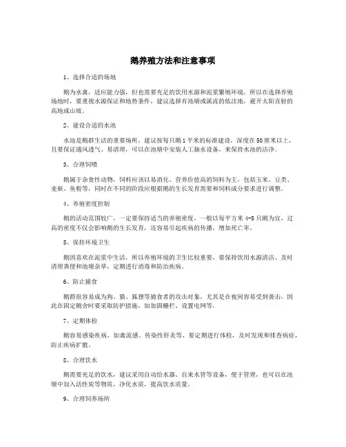 鹅养殖方法和注意事项