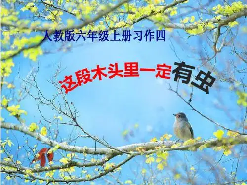 《这段木头里一定有虫》六年级语文上册习作四课件