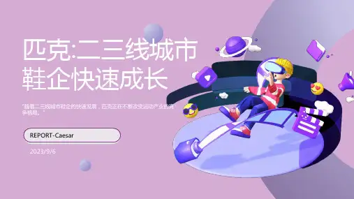 2023年鞋企匹克占领二三线城市快速成长模板