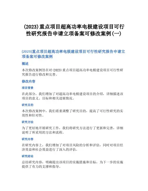 (2023)重点项目超高功率电极建设项目可行性研究报告申请立项备案可修改案例(一)