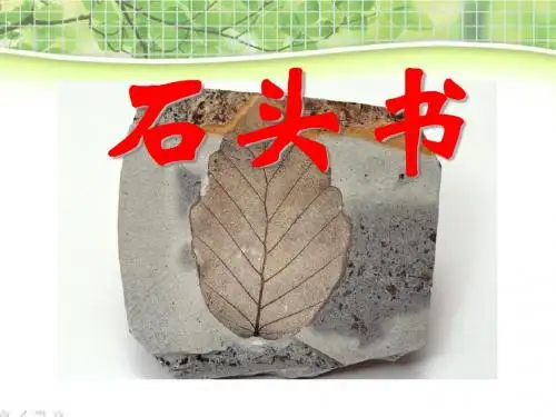 《石头书》PPT(上课用)4