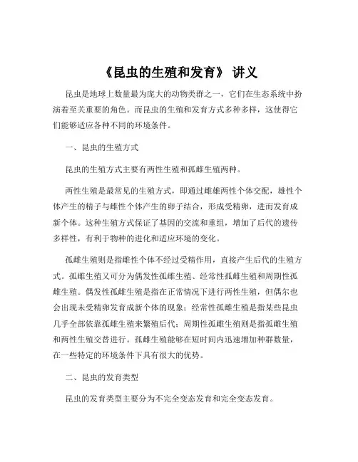 《昆虫的生殖和发育》 讲义