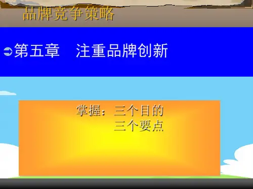 品牌竞争策略之创新(ppt 21页)