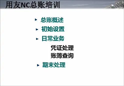 用友NC总账