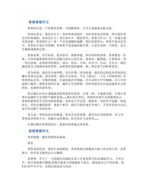青春手抄报内容