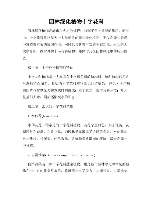 园林绿化植物十字花科