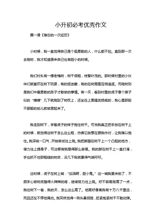 小升初必考优秀作文