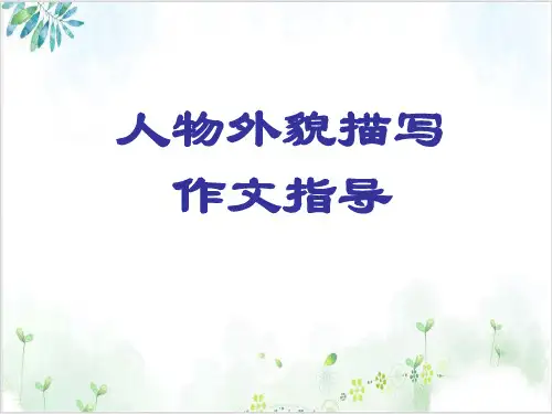 人物外貌描写作文指导-PPT精美课件