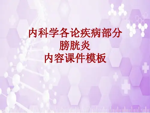 内科学_各论_疾病：膀胱炎_课件模板