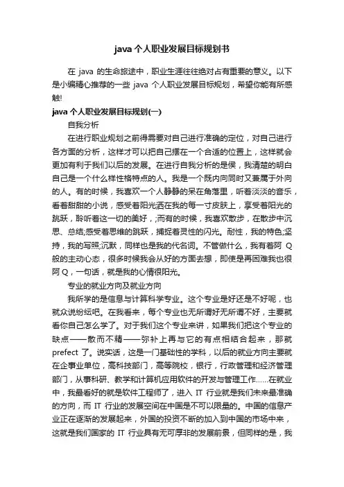 java个人职业发展目标规划书