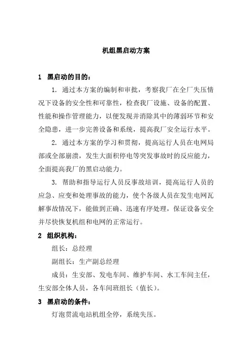 机组黑启动方案